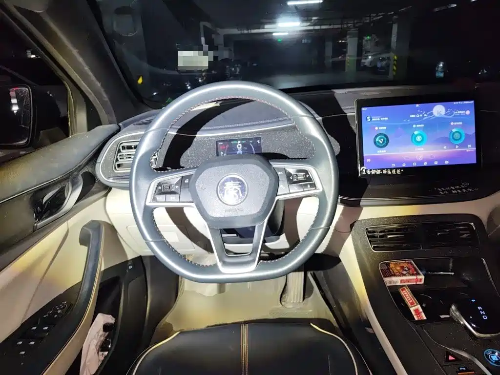 BYD Qin PLUS — фото 6