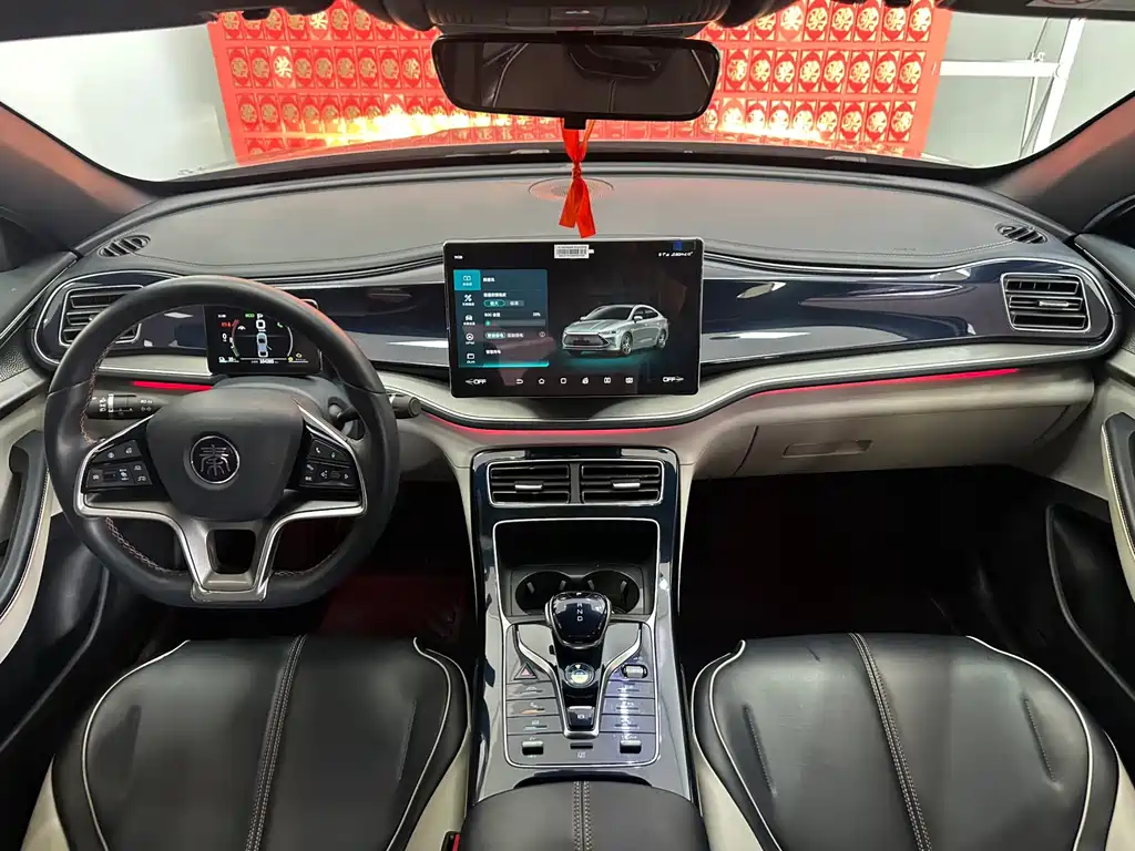 BYD Qin PLUS — фото 18