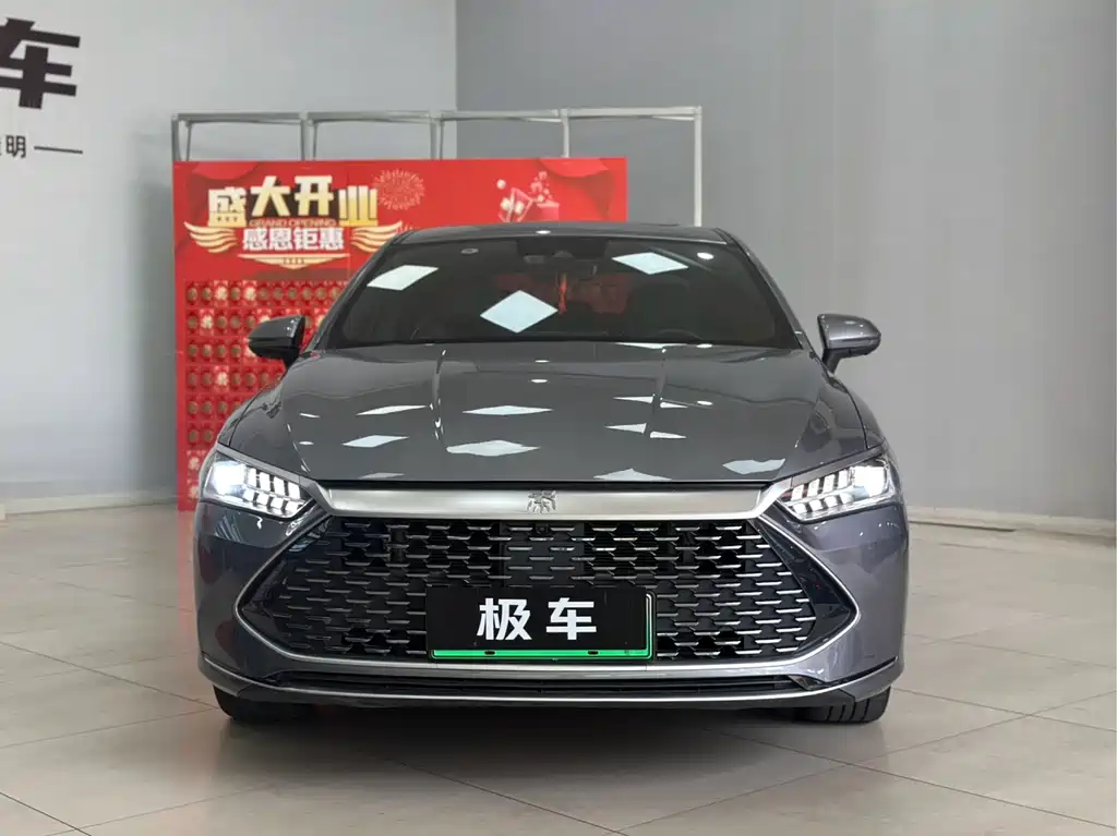 BYD Qin PLUS — фото 4