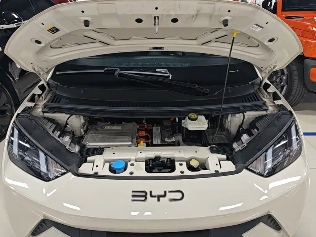 BYD Seagull — фото 20