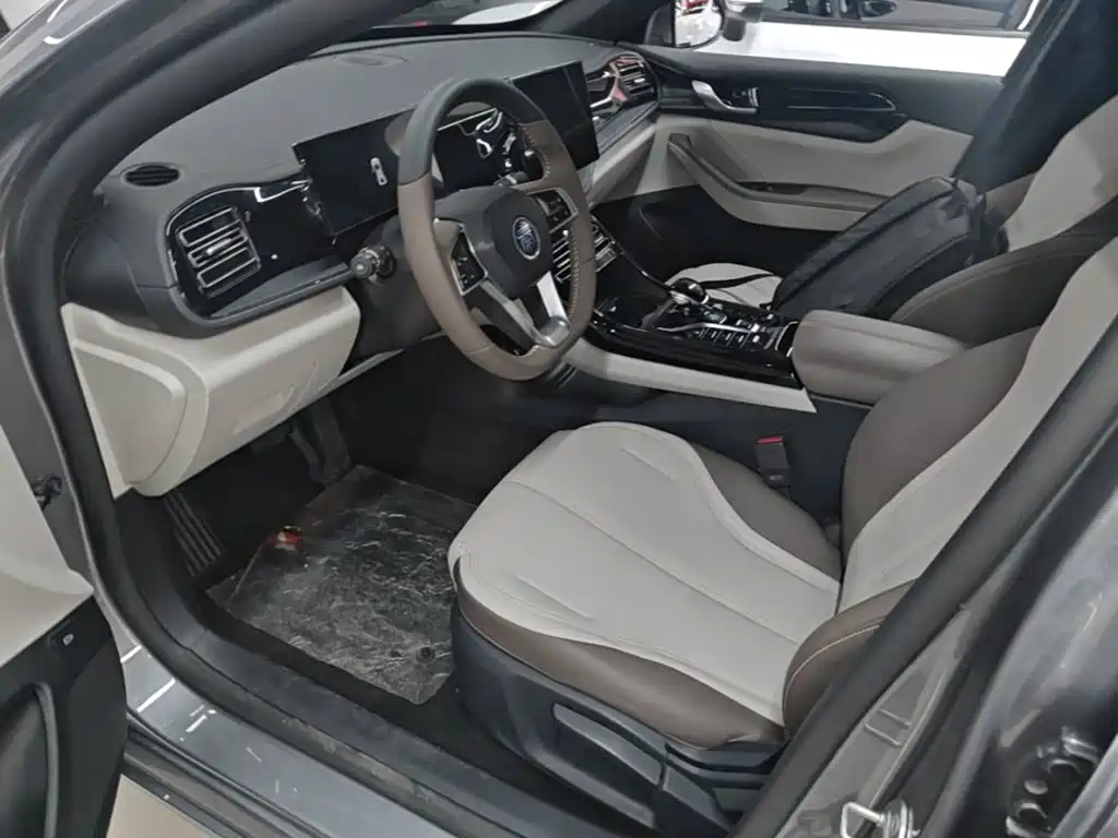 BYD Qin PLUS — фото 15