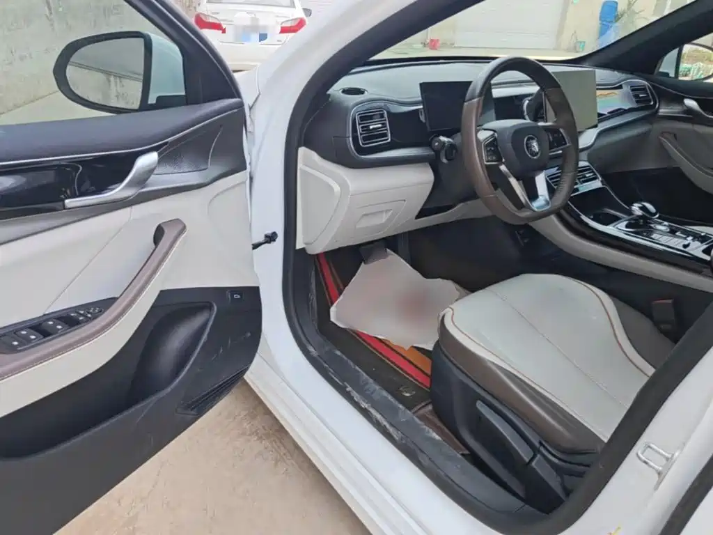 BYD Qin PLUS — фото 16