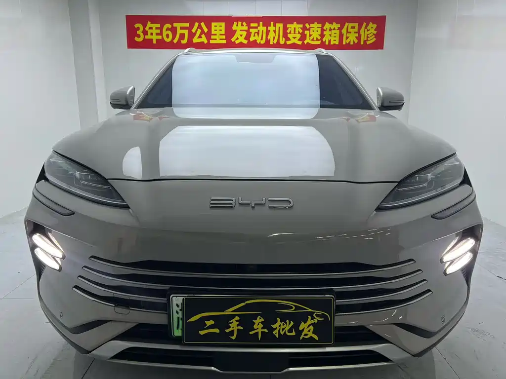 BYD PLUS New Energy — фото 2