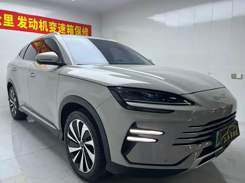 BYD PLUS New Energy — фото 3