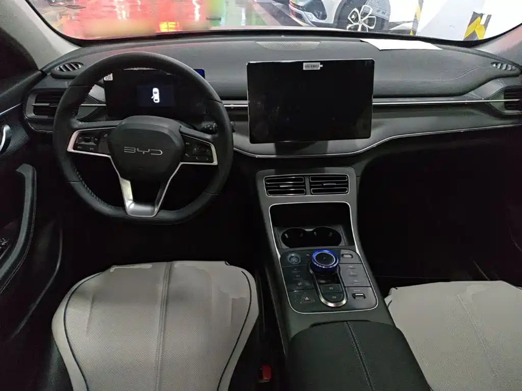 BYD Destroyer 05 — фото 10