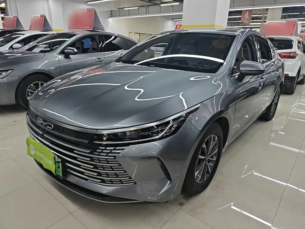 BYD Destroyer 05 — фото 2