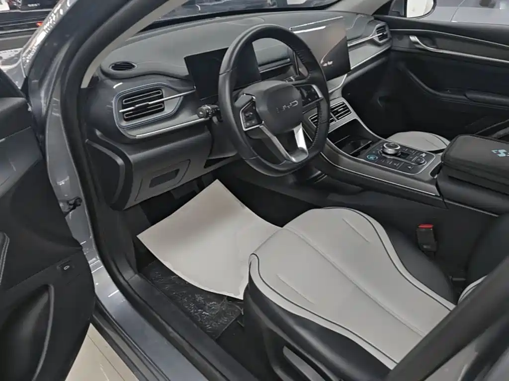 BYD Destroyer 05 — фото 15