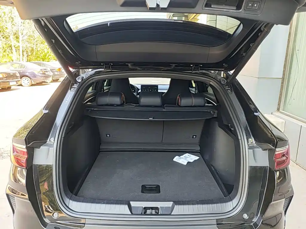 BYD PLUS New Energy — фото 19