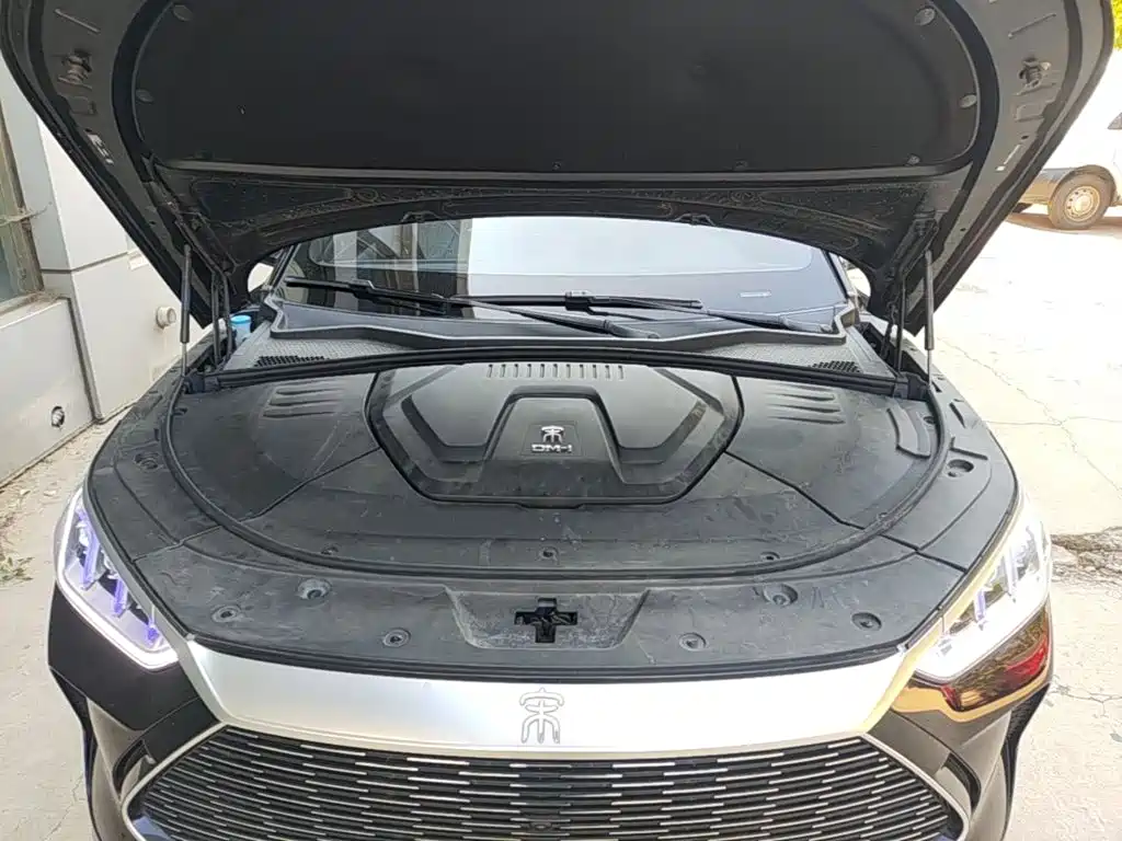 BYD PLUS New Energy — фото 20