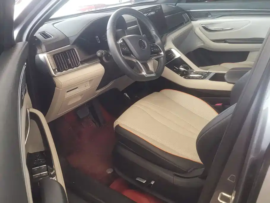 BYD PLUS New Energy — фото 9