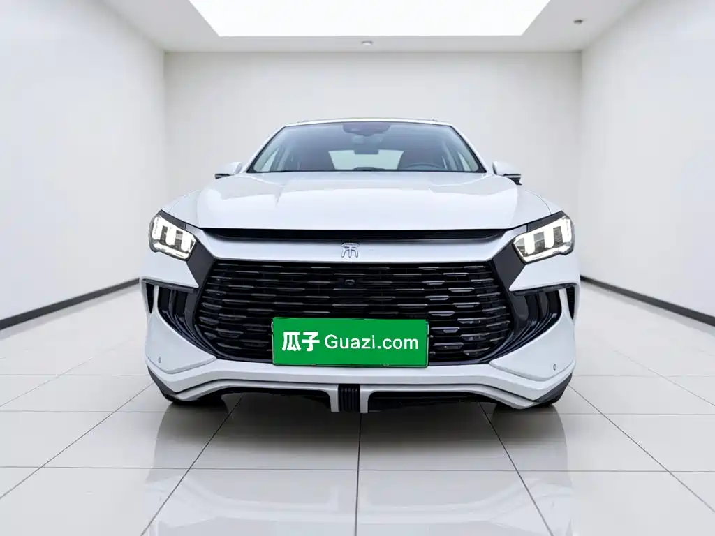BYD Pro New Energy — фото 2