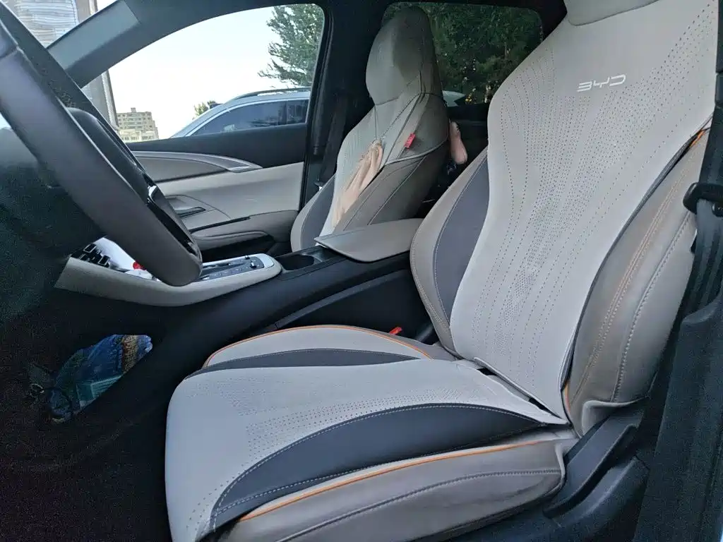 BYD Pro New Energy — фото 11
