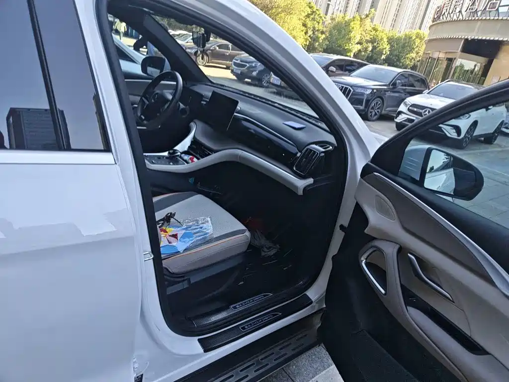 BYD Pro New Energy — фото 19