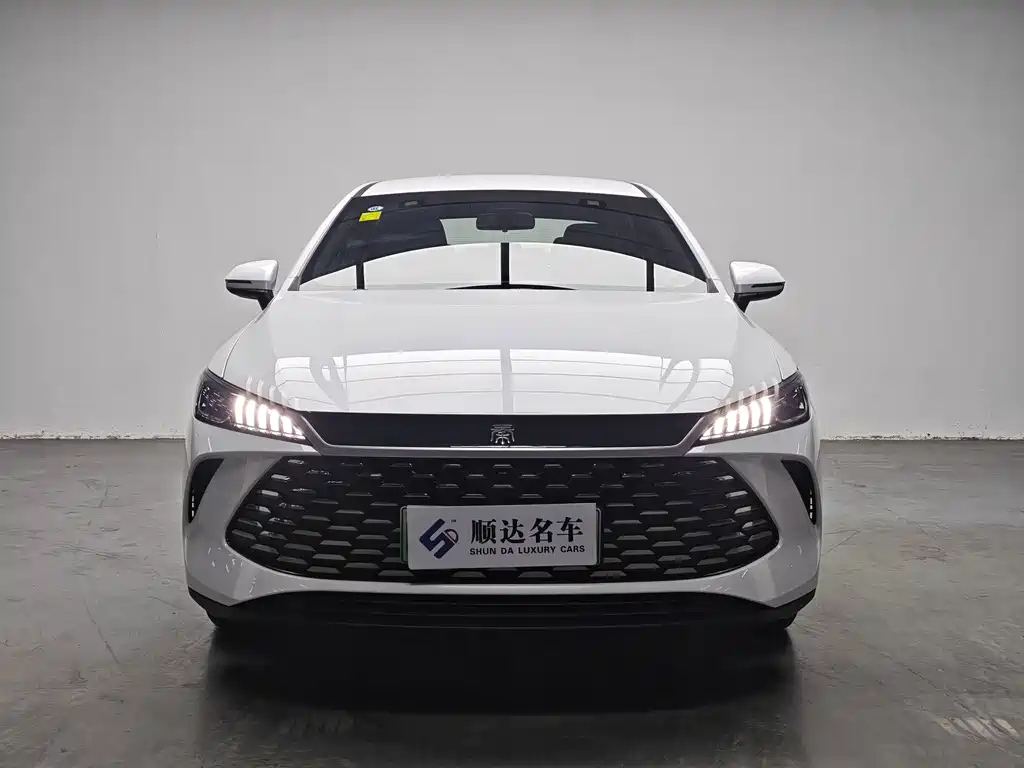 BYD Qin PLUS — фото 2
