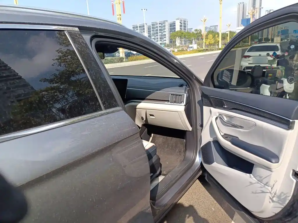 BYD PLUS New Energy — фото 18