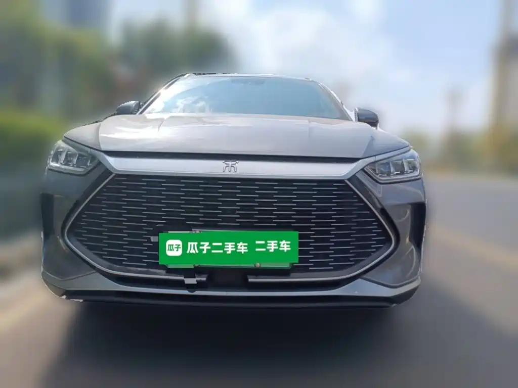 BYD PLUS New Energy — фото 24