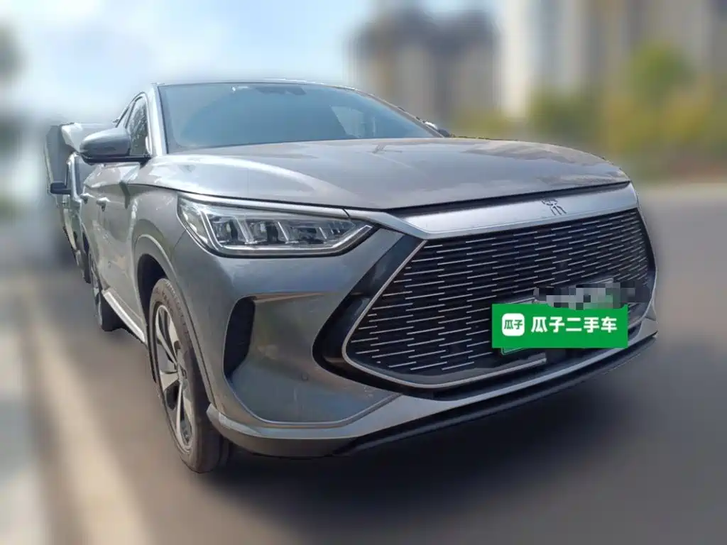BYD PLUS New Energy — фото 25