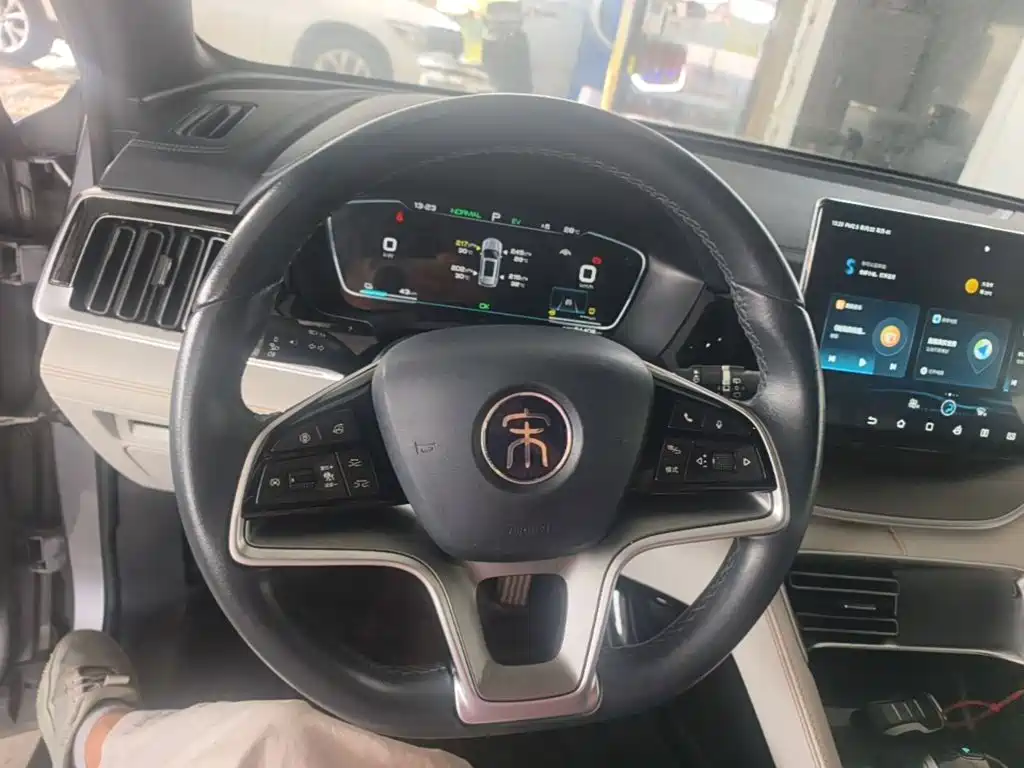 BYD PLUS New Energy — фото 11
