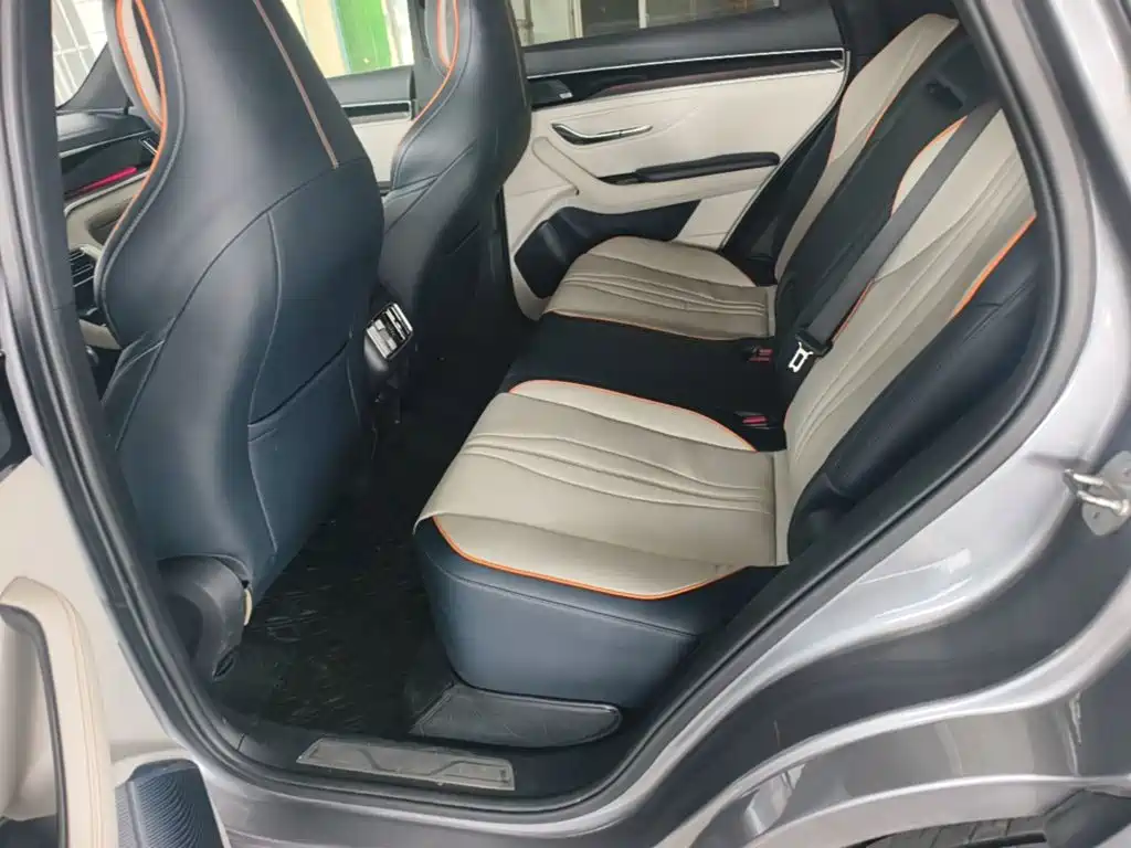BYD PLUS New Energy — фото 17