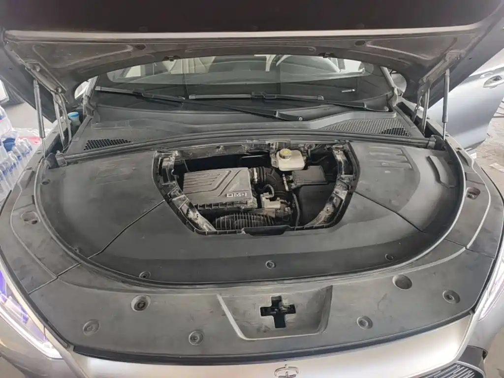 BYD PLUS New Energy — фото 20