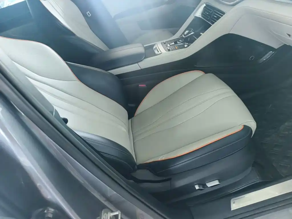 BYD PLUS New Energy — фото 25