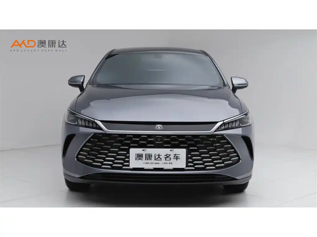 BYD Qin PLUS — фото 2
