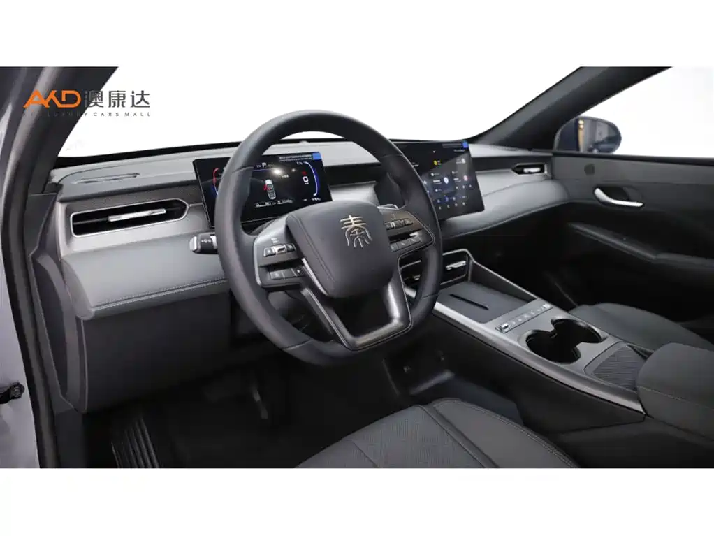 BYD Qin PLUS — фото 6