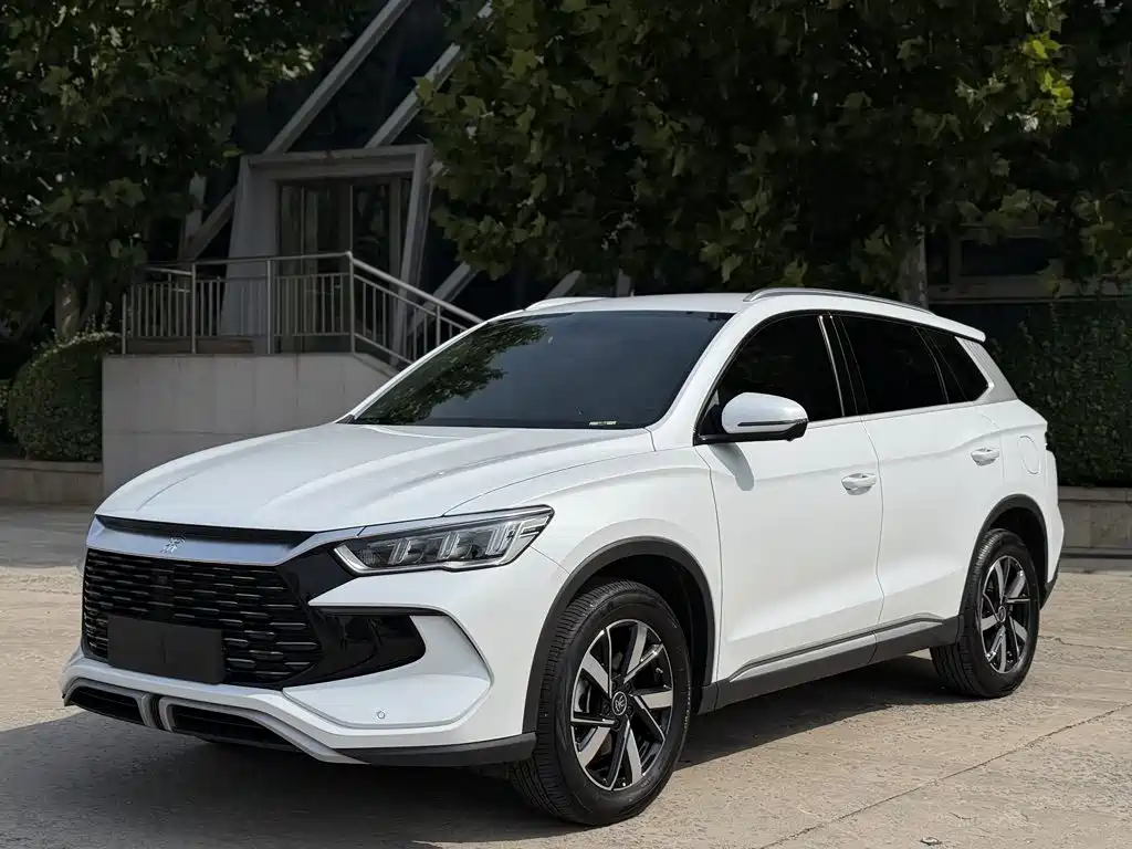 BYD Pro New Energy — фото 2
