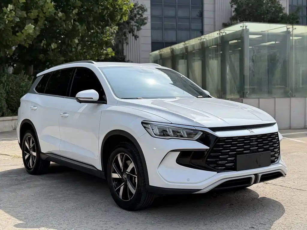 BYD Pro New Energy — фото 11