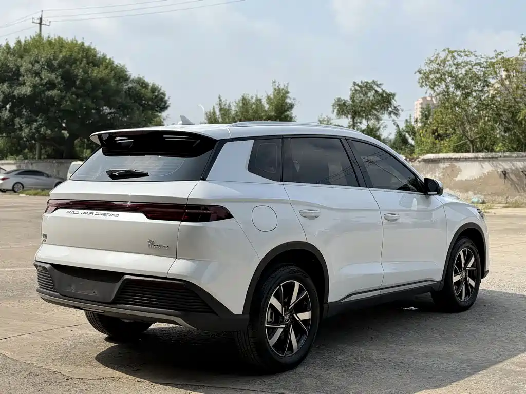 BYD Pro New Energy — фото 13