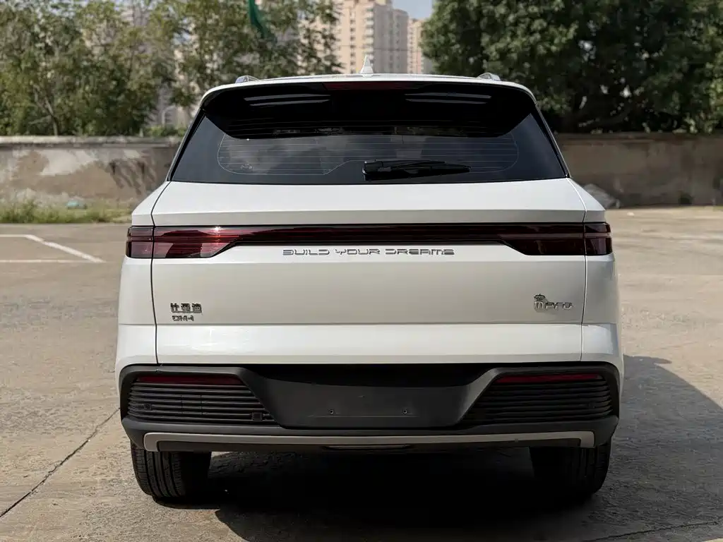 BYD Pro New Energy — фото 15