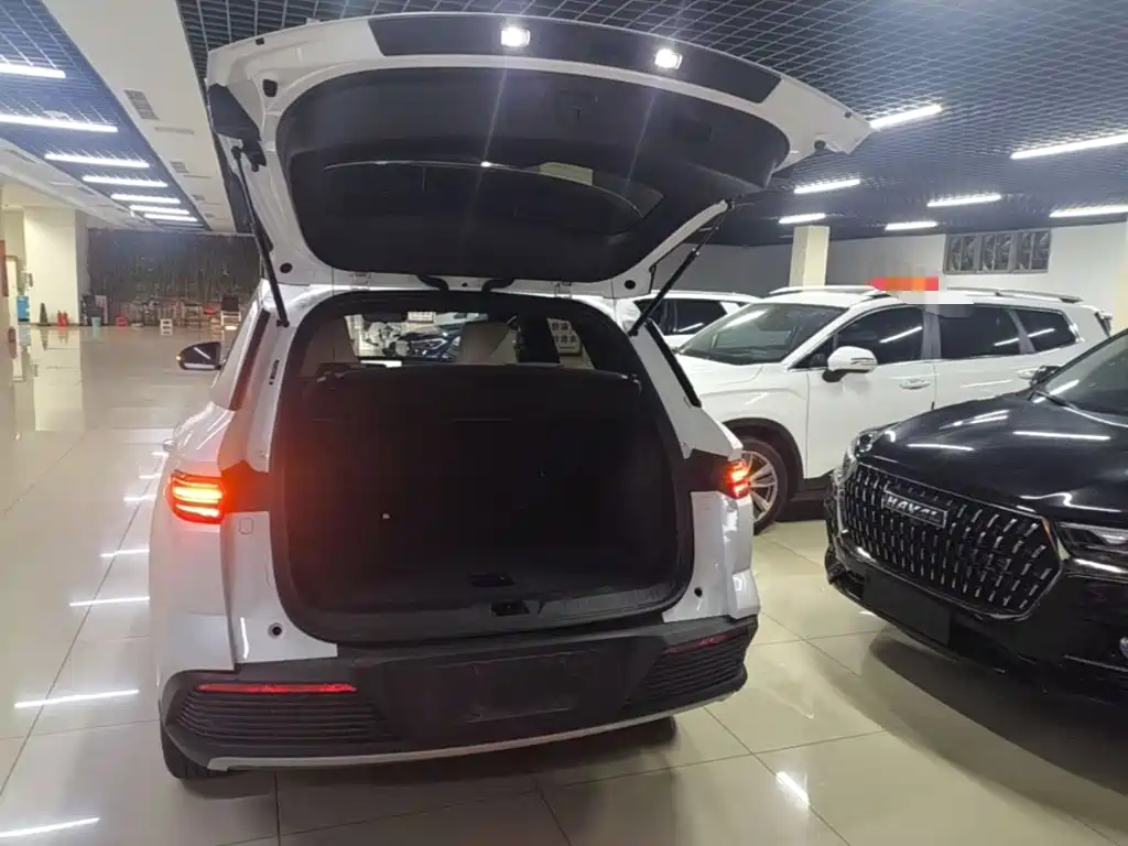 BYD Pro New Energy — фото 18