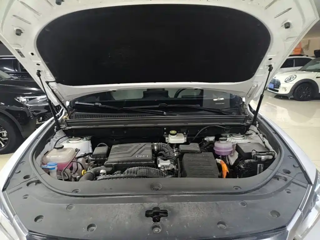 BYD Pro New Energy — фото 19