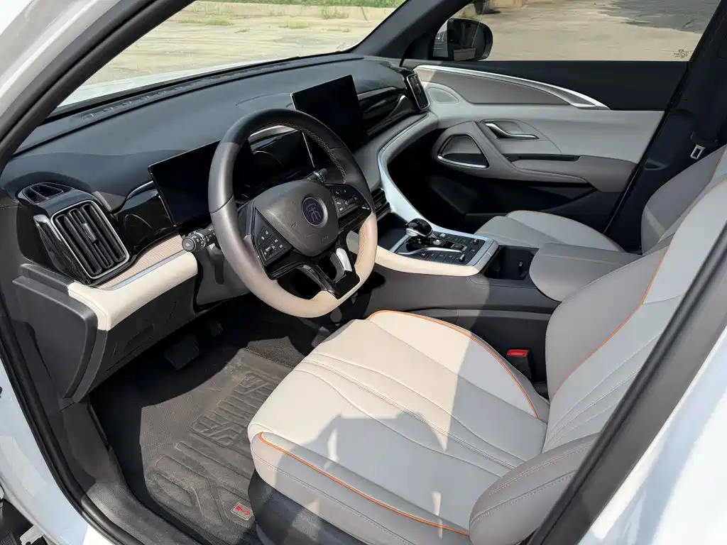 BYD Pro New Energy — фото 20