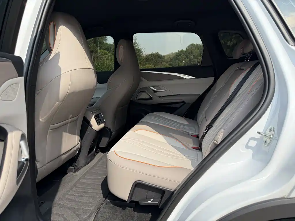 BYD Pro New Energy — фото 23