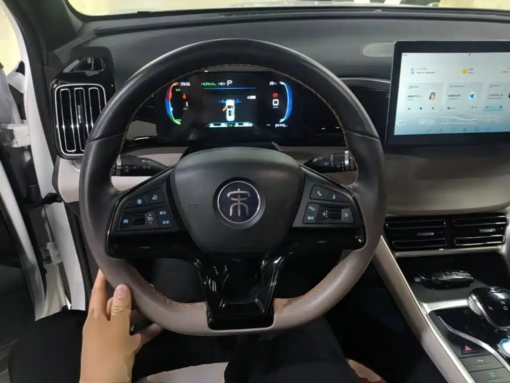 BYD Pro New Energy — фото 7