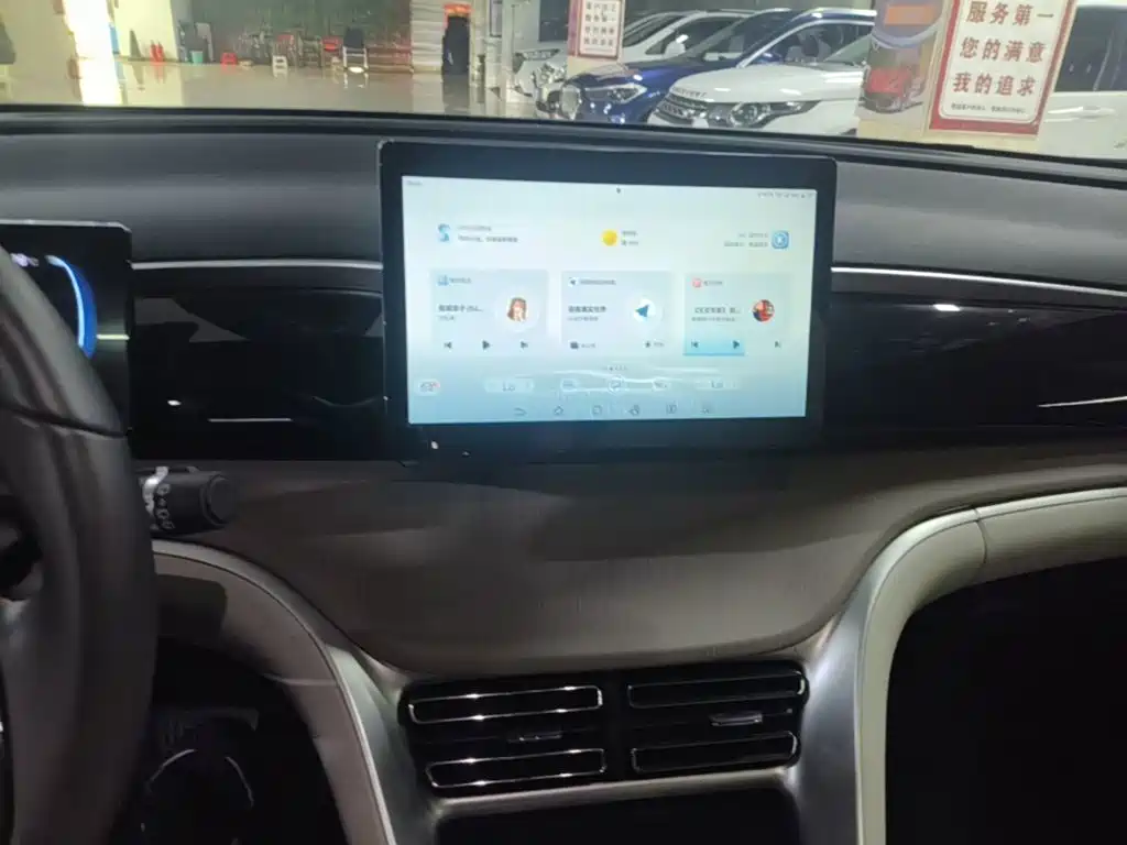 BYD Pro New Energy — фото 9