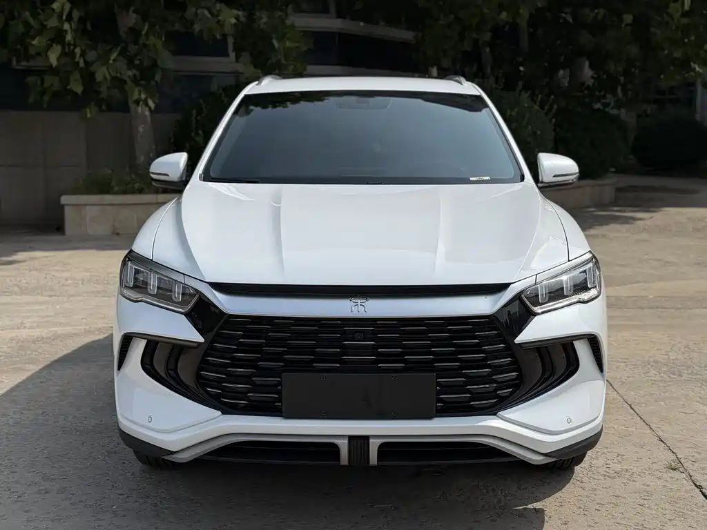 BYD Pro New Energy — фото 10
