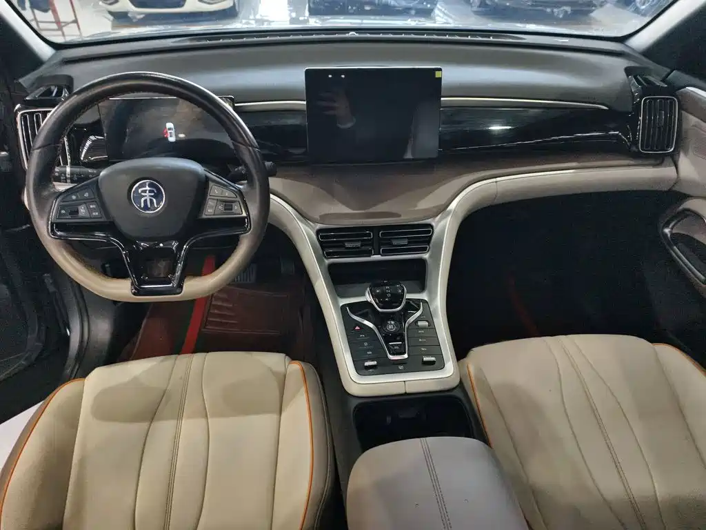 BYD Pro New Energy — фото 19