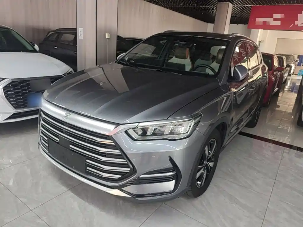 BYD Pro New Energy — фото 2