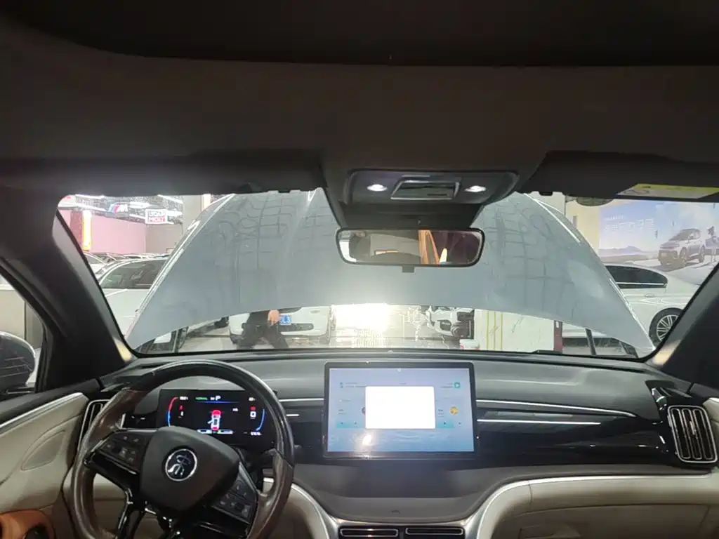 BYD Pro New Energy — фото 18