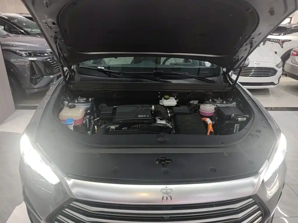 BYD Pro New Energy — фото 20