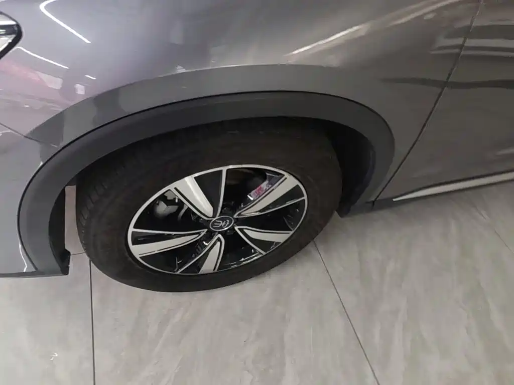 BYD Pro New Energy — фото 23