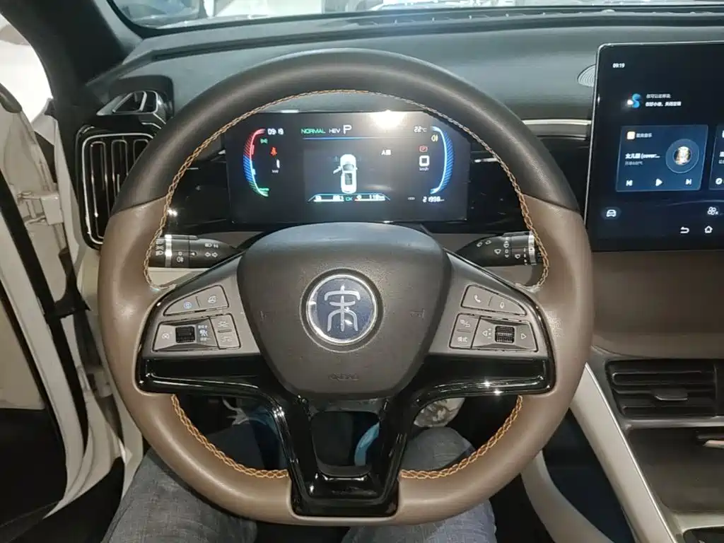BYD Pro New Energy — фото 11
