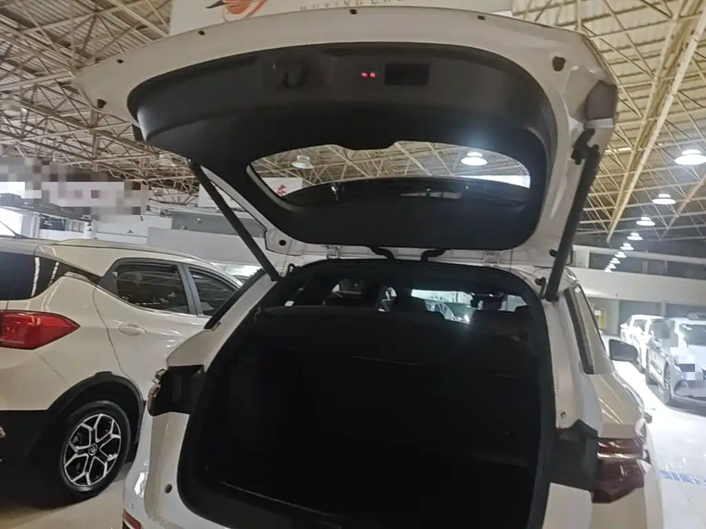 BYD Pro New Energy — фото 19