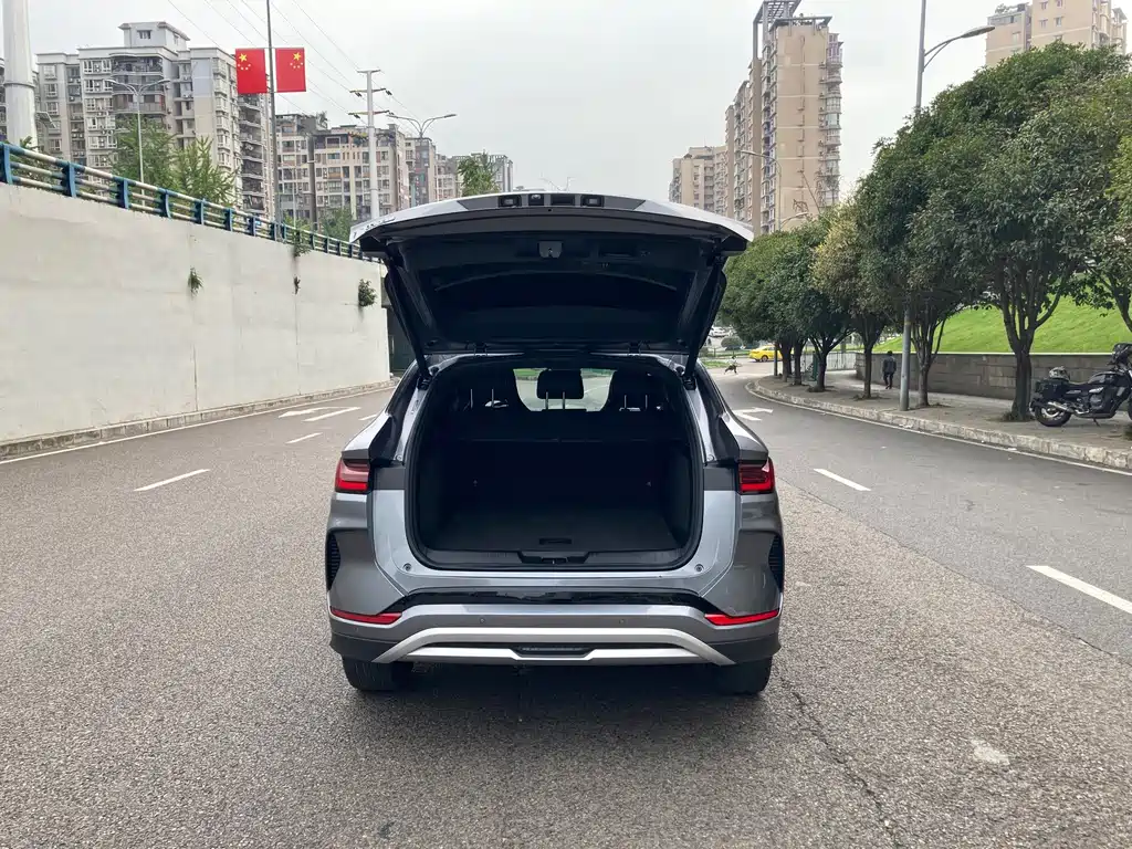 BYD PLUS New Energy — фото 11