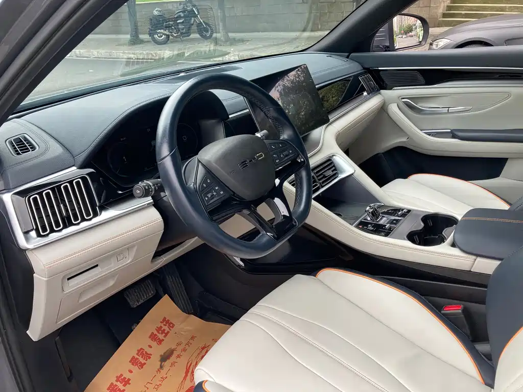 BYD PLUS New Energy — фото 4