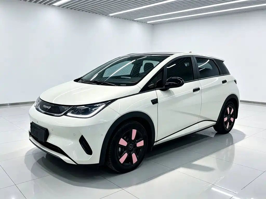 BYD Dolphin — фото 2