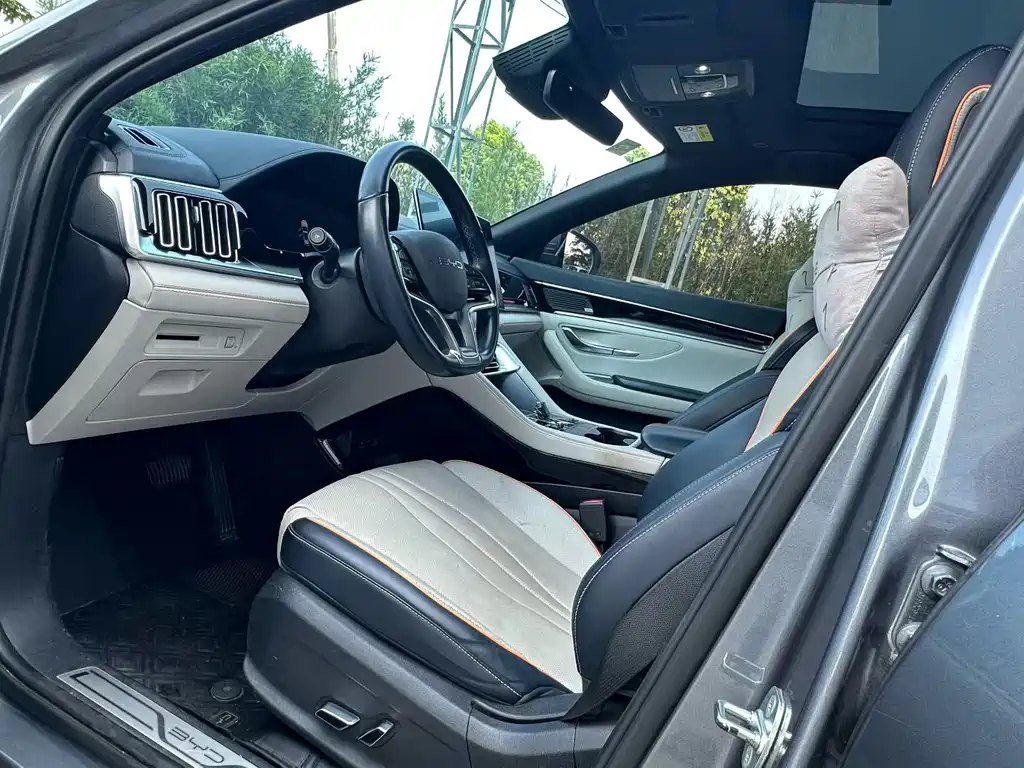 BYD PLUS New Energy — фото 4