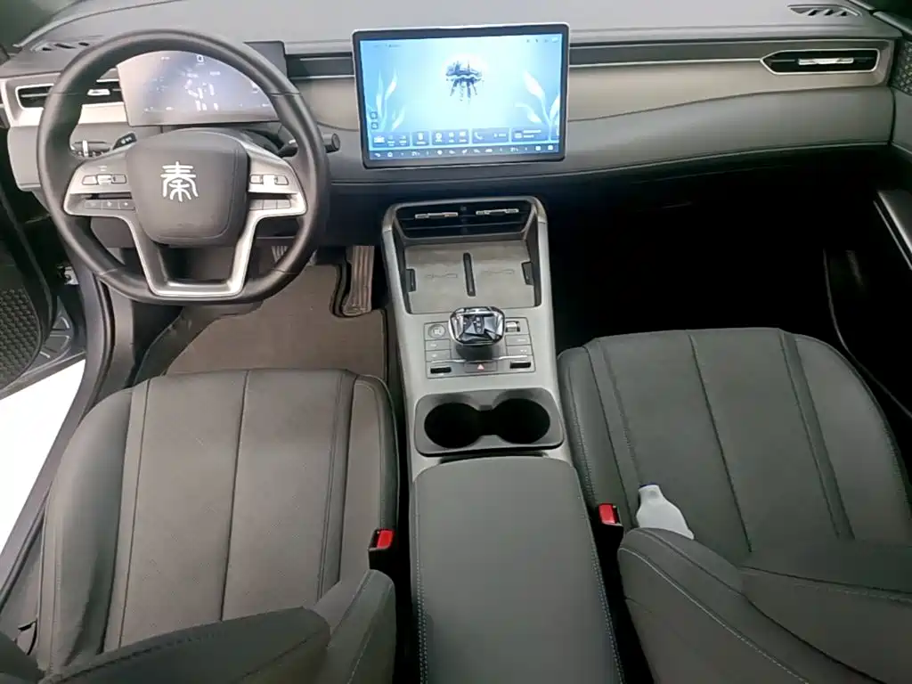 BYD Qin PLUS — фото 10